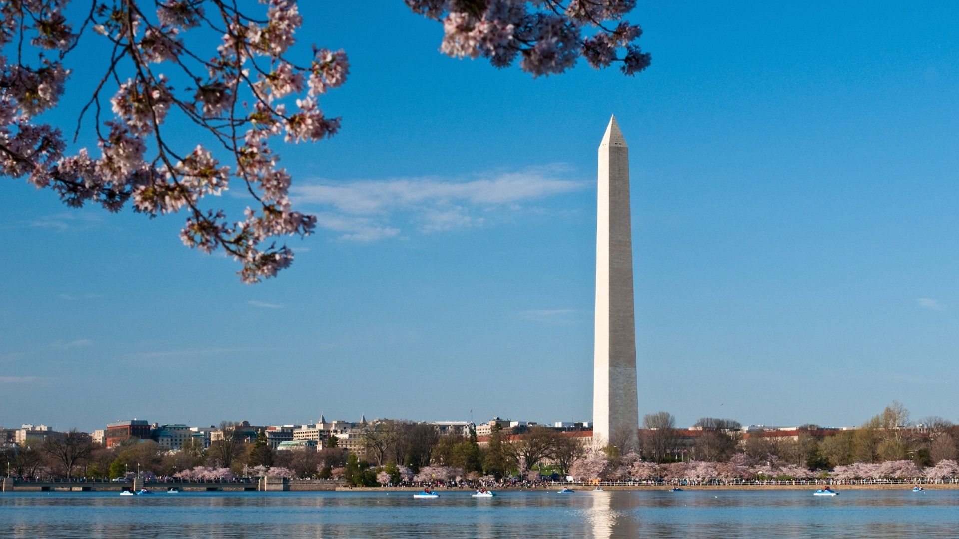 Enjoy Access to Major Commuter Routes in the DC Metro Area