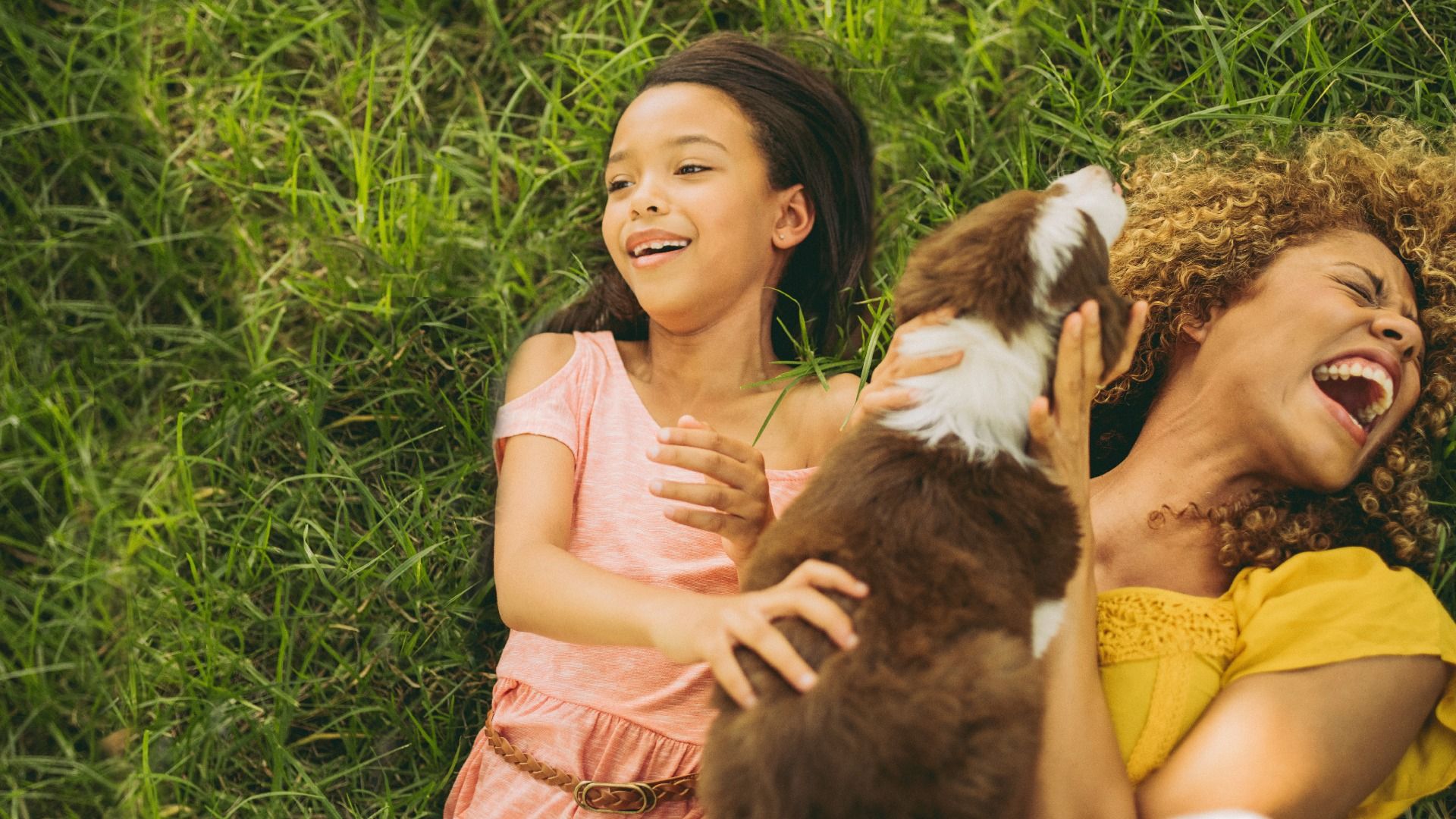 Amenities at Greenleigh include community dog parks