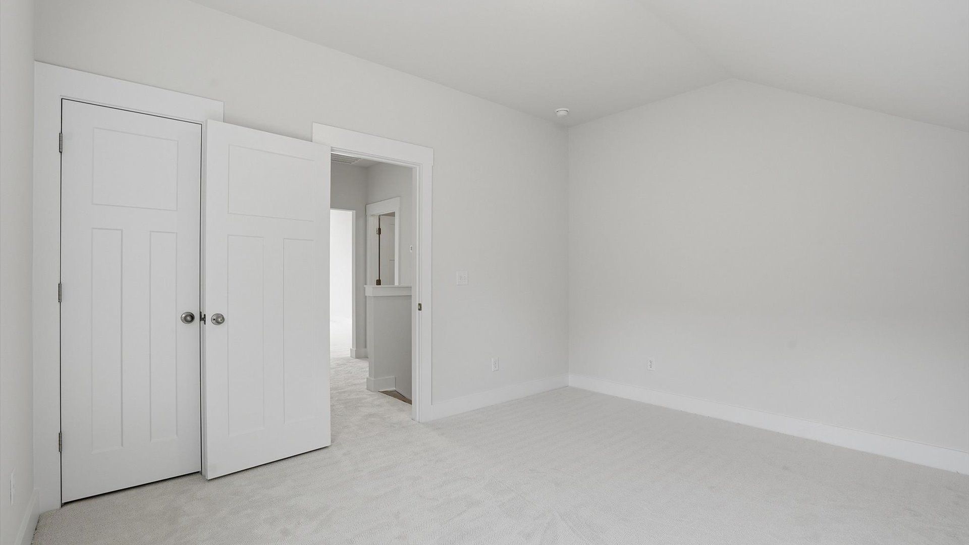 First-rate secondary space with a spacious walk-in closet and elegant carpeted flooring located in Greenville, SC