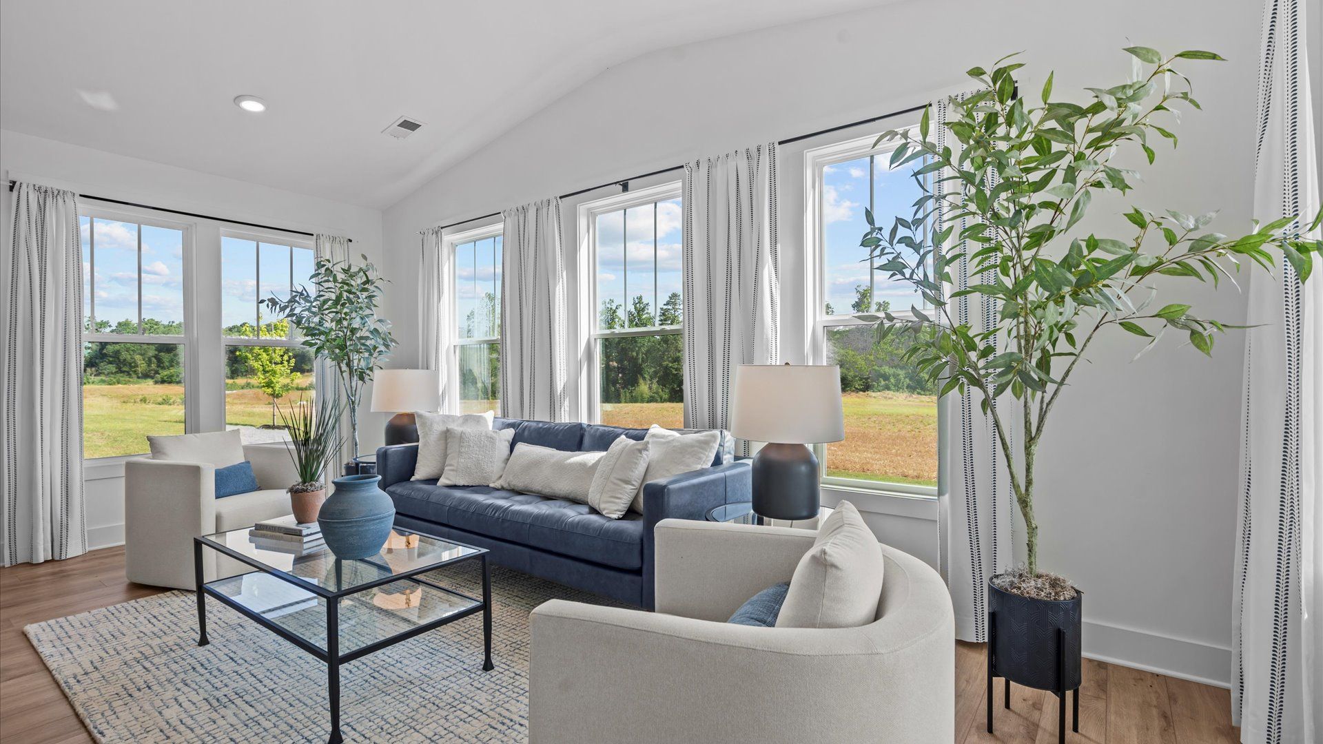 Memorable living spaces in this top-notch Greenville home by DRB Homes