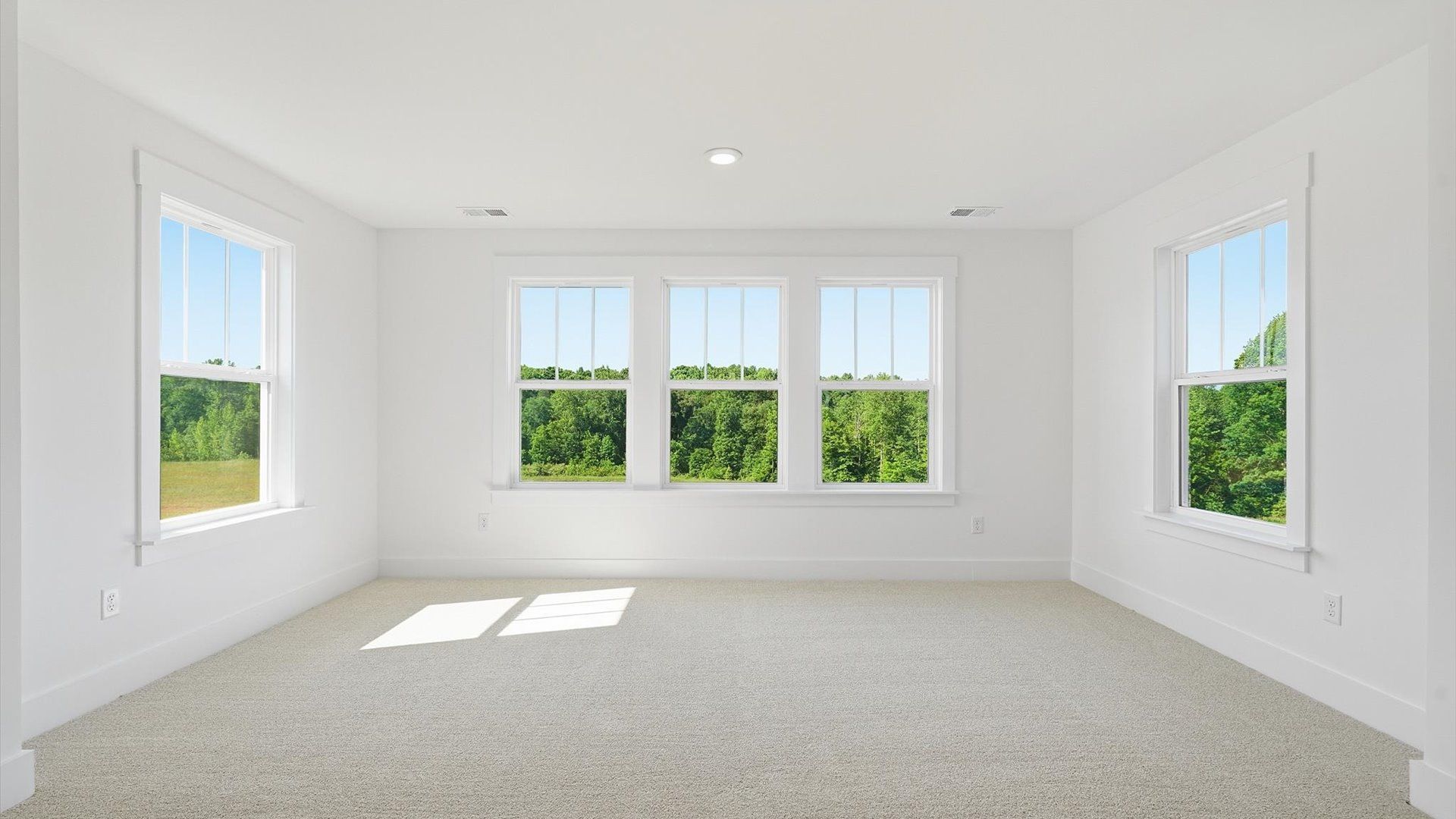 Spacious and serene primary suite with thoughtful design in a desirable DRB Homes community in Woodruff, SC