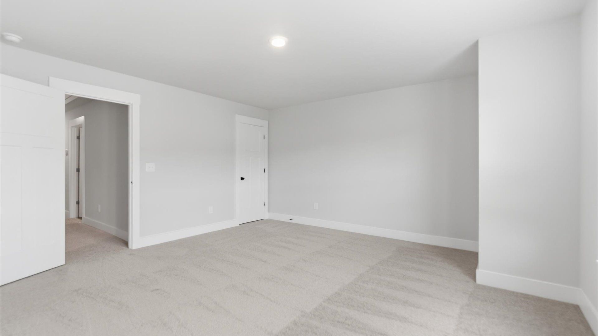 Tasteful bedroom with plush carpet, a walk-in closet, and large windows for abundant natural light