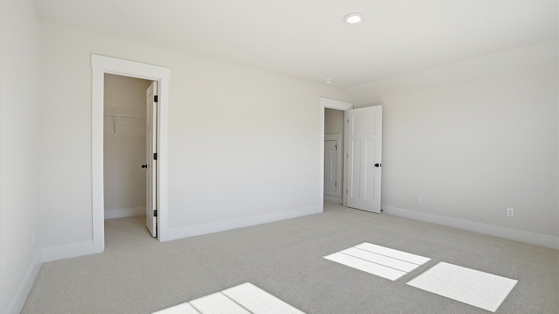 Tasteful bedroom with plush carpet, a walk-in closet, and large windows for abundant natural light in Woodruff, SC