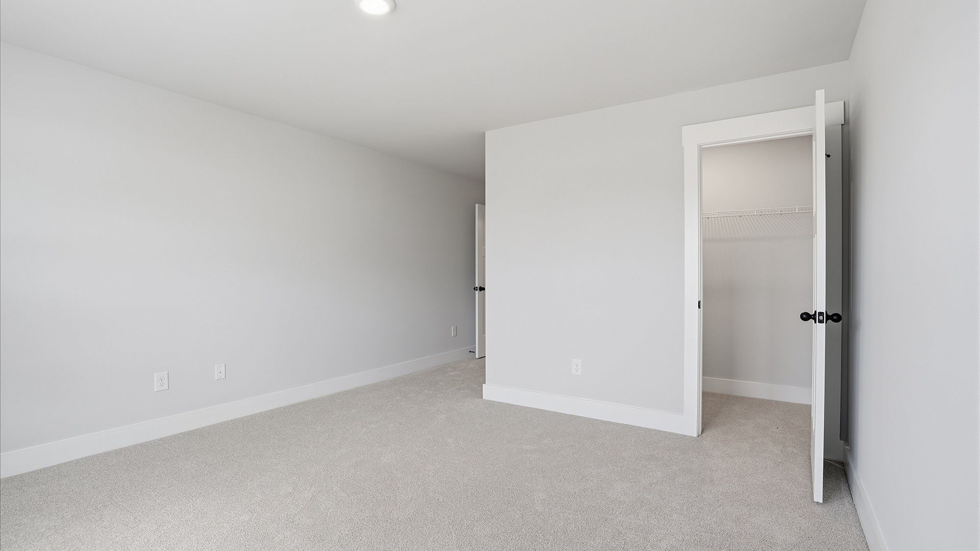 Notable secondary bedroom with plush carpet and an oversized walk-in closet located in Anderson, SC