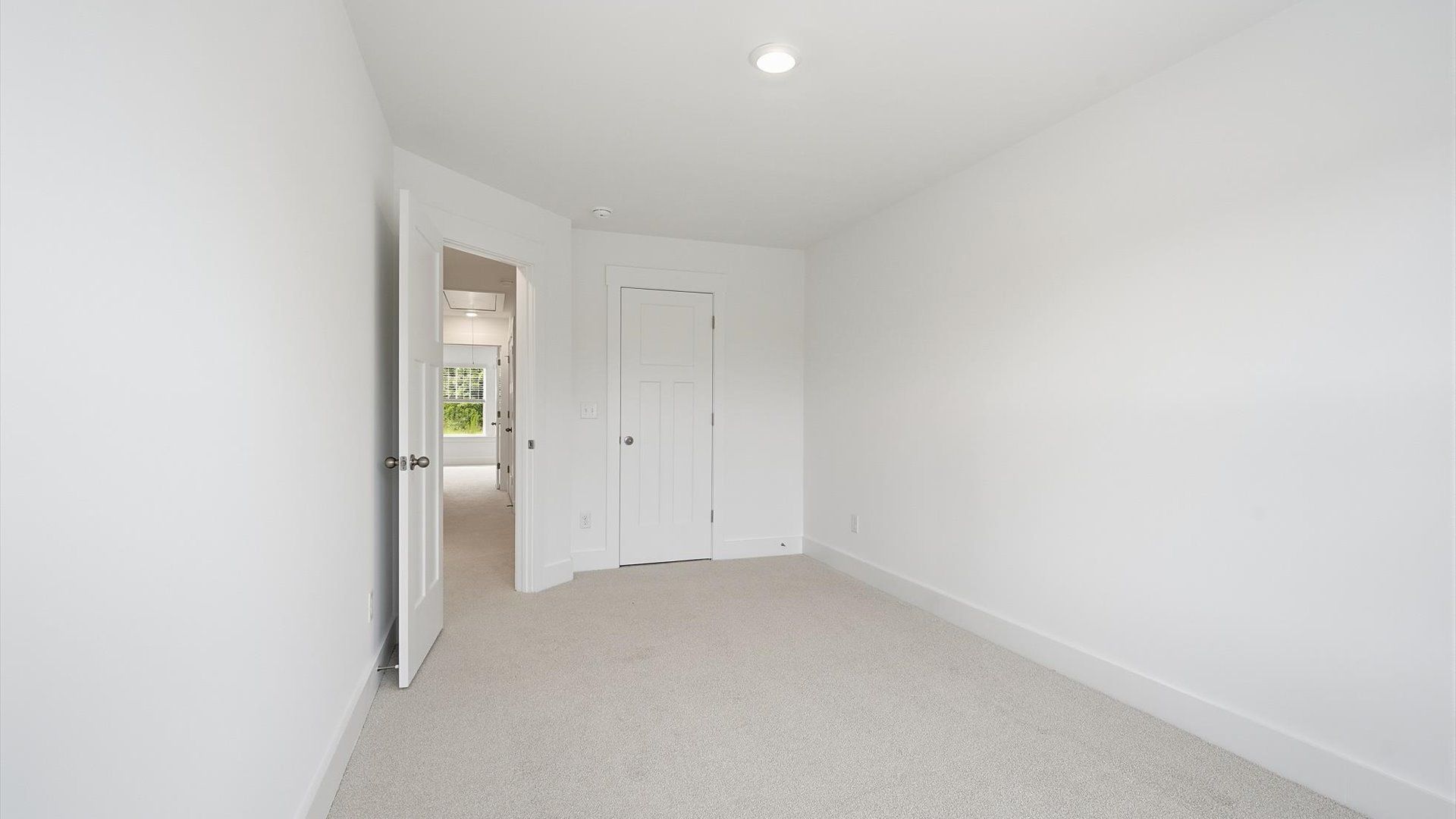 Tasteful bedroom with plush carpet, a walk-in closet, and large windows for abundant natural light in Greenville, SC