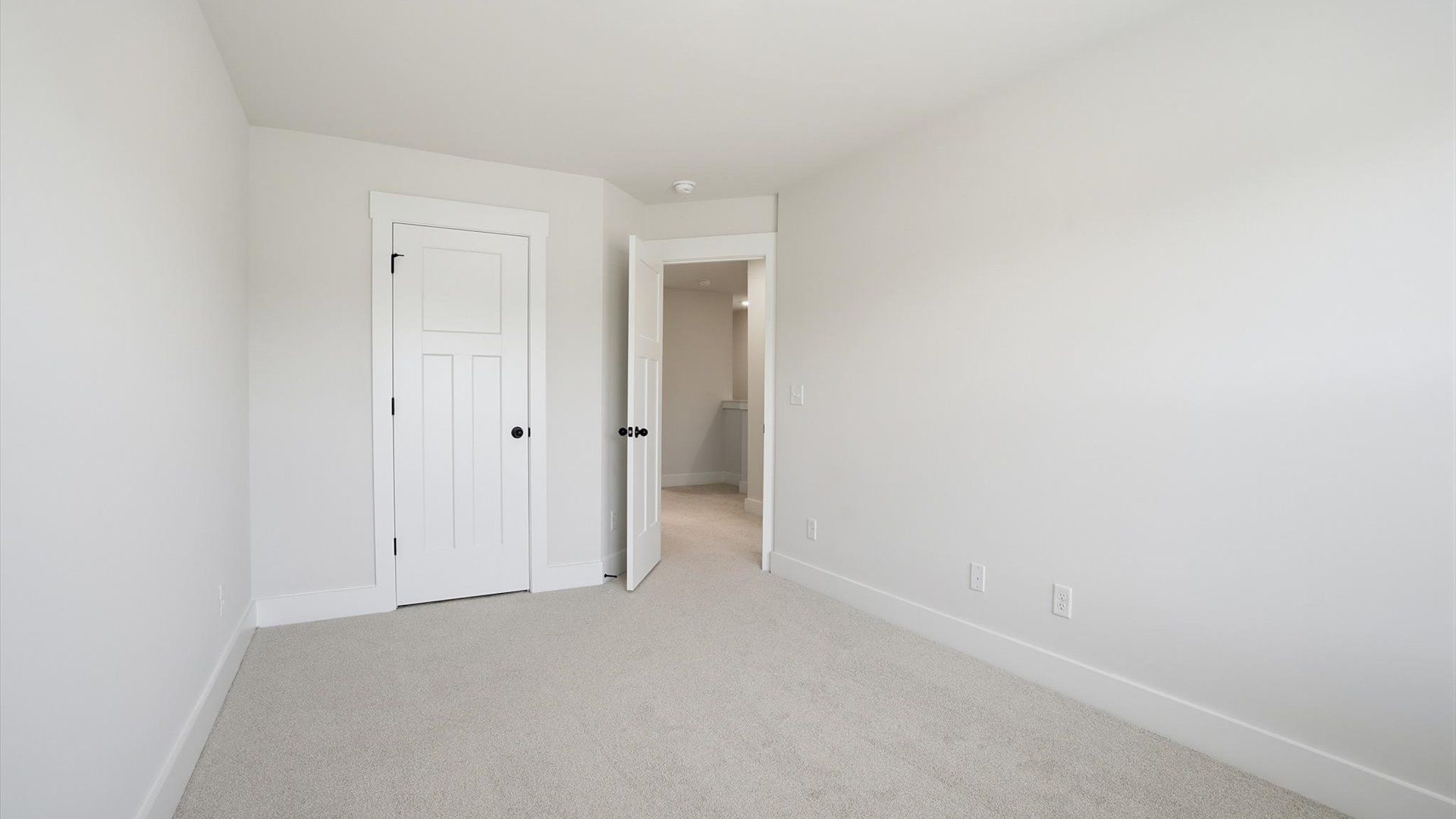 Vibrant and inviting secondary bedroom featuring a walk-in closet and refined finishes at Barton Hollow