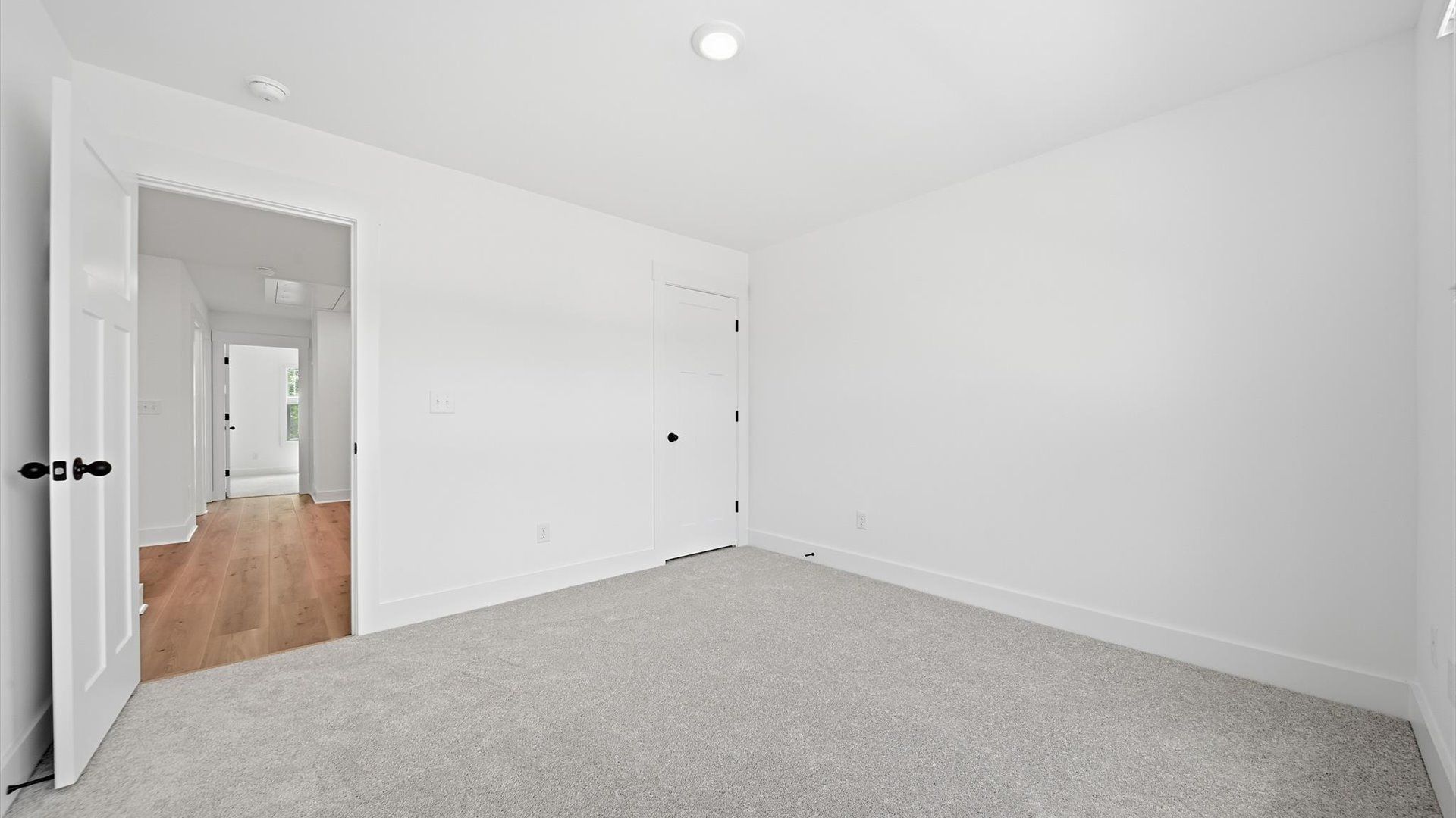 Tasteful bedroom with plush carpet, a walk-in closet, and large windows for abundant natural light