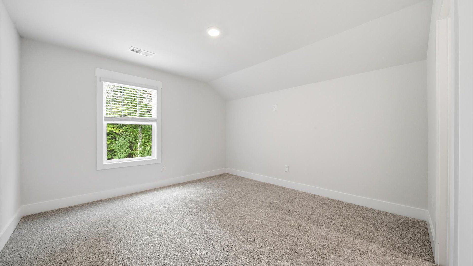 Tasteful bedroom with plush carpet, a walk-in closet, and large windows for abundant natural light