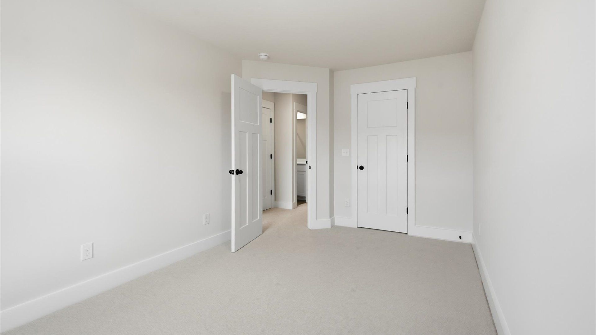 Elegant bedroom retreat featuring soft carpeting and a thoughtfully designed walk-in closet