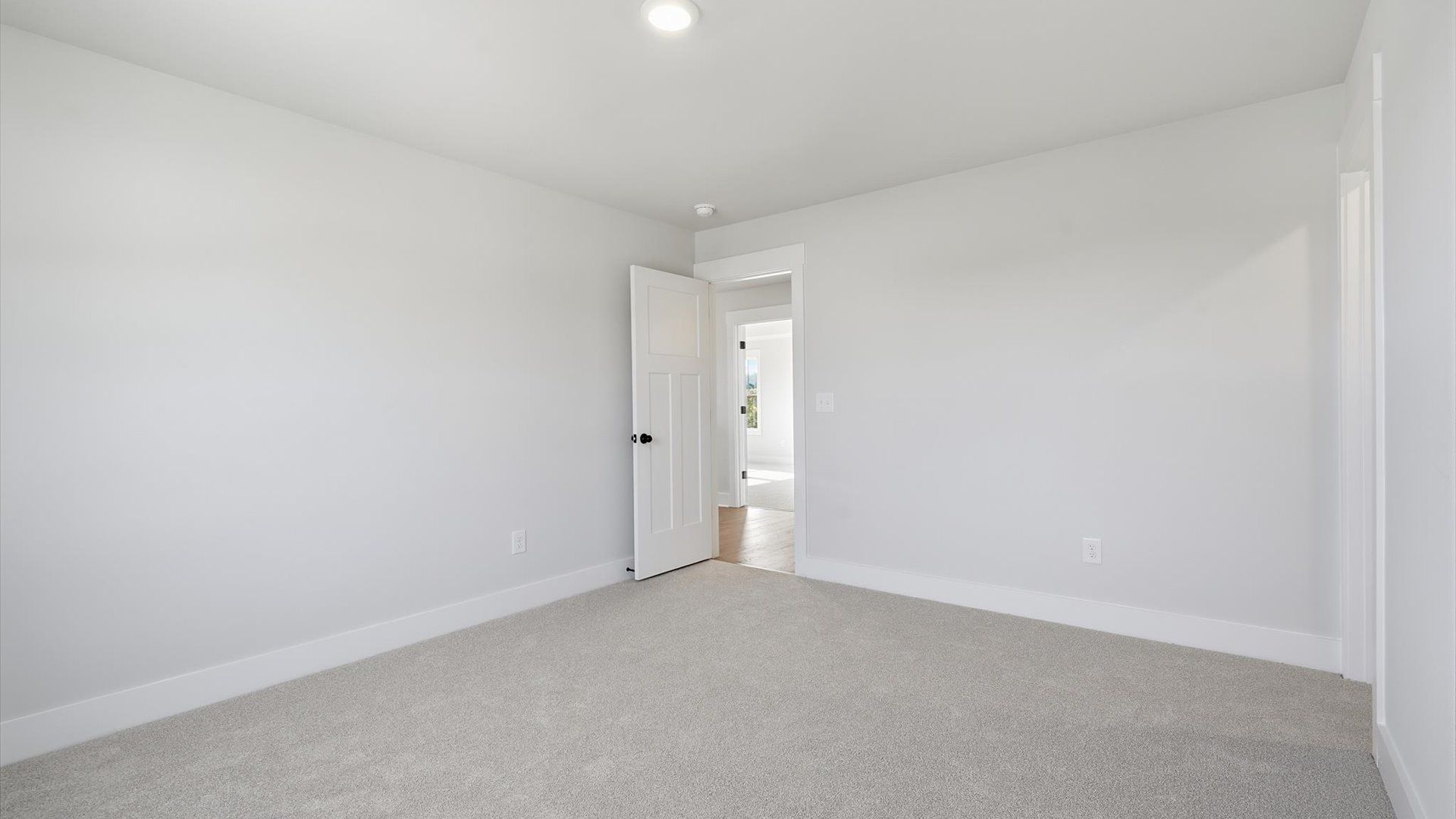 Tasteful bedroom with plush carpet, a walk-in closet, and large windows for abundant natural light