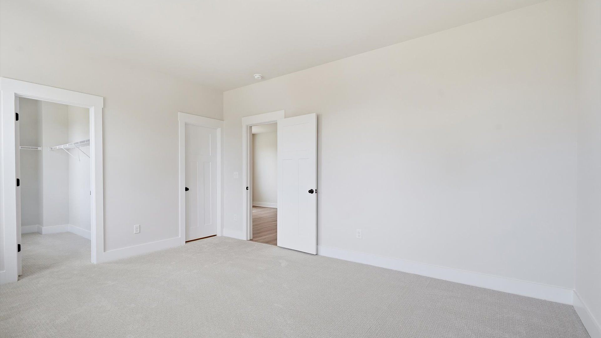 Accomplished bedroom layout with cozy carpet, a spacious walk-in closet, and sun-filled windows