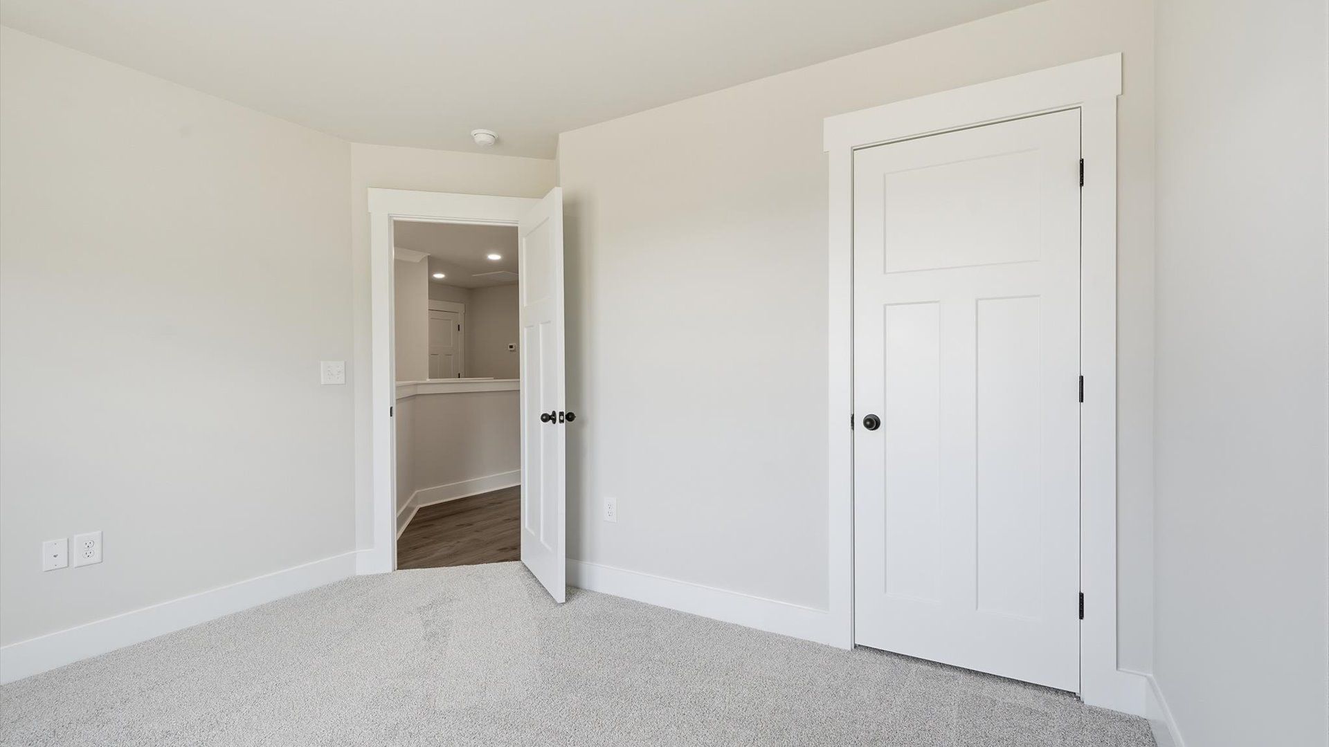 Vibrant and inviting secondary bedroom featuring a walk-in closet and refined finishes in Woodruff, SC
