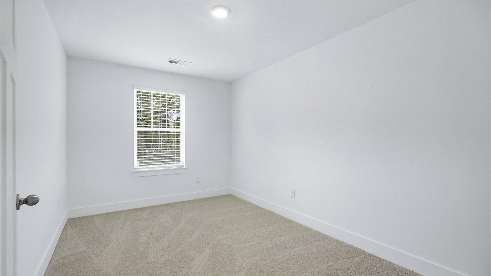Memorable space with walk-in closet, soft carpeting, and striking natural light from a large window