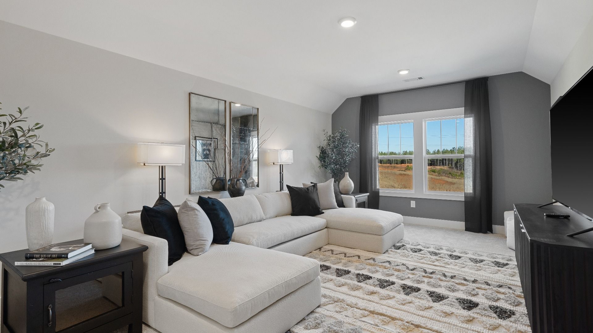 Elevated ceiling bonus room with plush carpet and large windows at Walnut Ridge by DRB Homes in Inman, SC