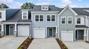 241 Telluride Way (Litchfield)