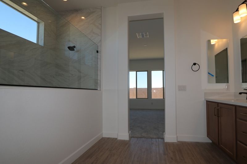 Owner's Bath