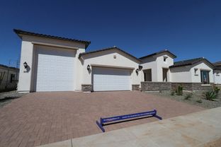 Dorada - Suelo at Legado West: Queen Creek, Arizona - David Weekley Homes