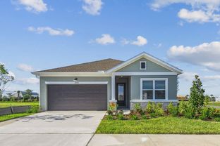 Sanborn - Waterset Tradition Series: Apollo Beach, Florida - David Weekley Homes