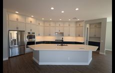 Canyon Views – 70’ Sunrise Series: Litchfield Park, Arizona - David Weekley Homes