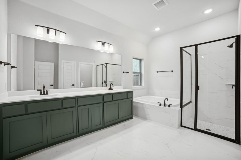 Owner's Bath