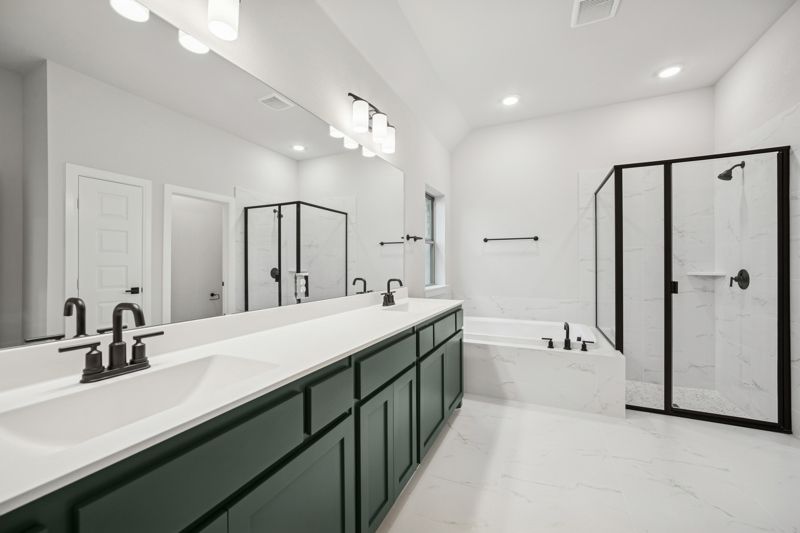 Owner's Bath