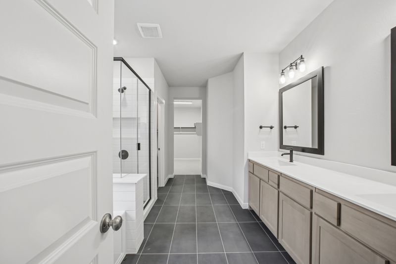 Owner's Bath