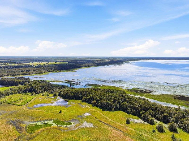 Palmeras at Crossprairie – 34’