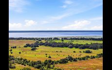 Palmeras at Crossprairie – 50’: Saint Cloud, Florida - David Weekley Homes