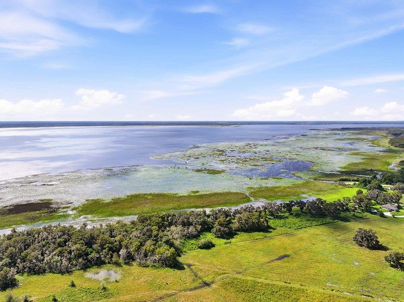 Palmeras at Crossprairie