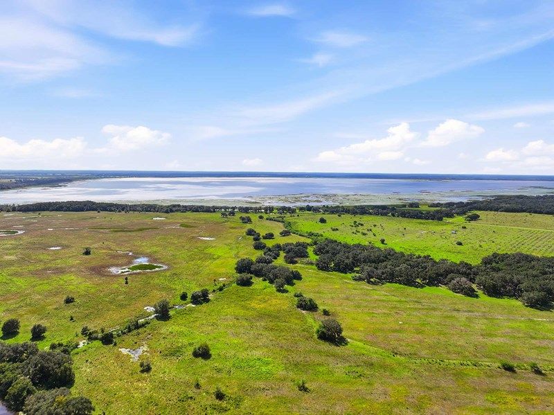 Palmeras at Crossprairie