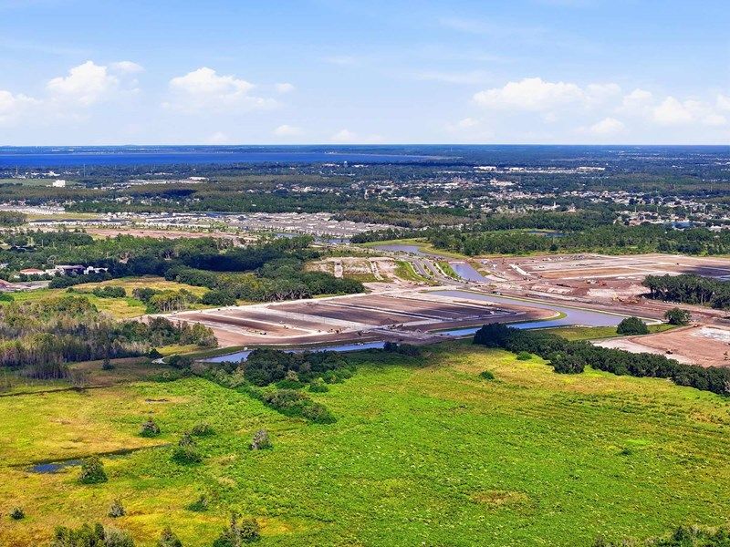 Palmeras at Crossprairie