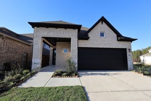 8755 Mancos Valley Court (Cleveland)