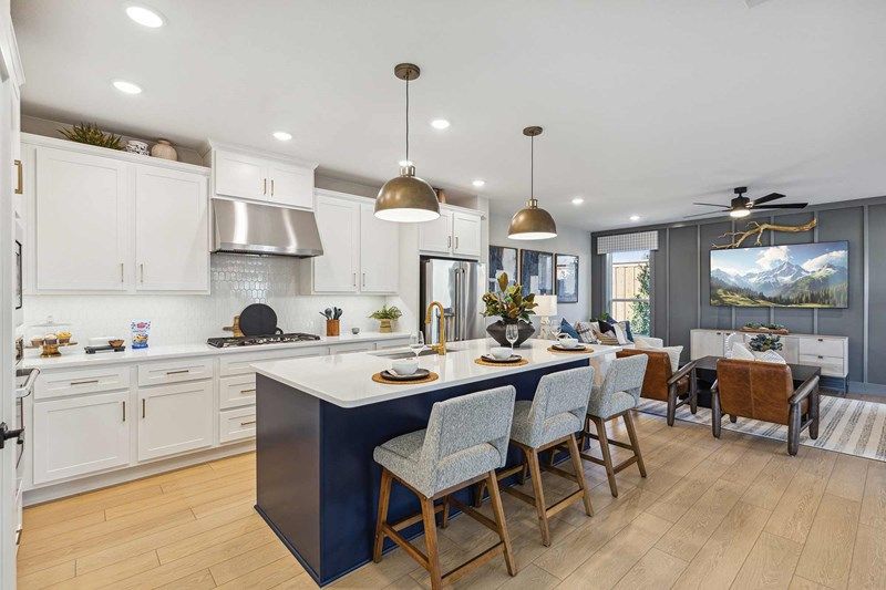 The Morley - Kitchen