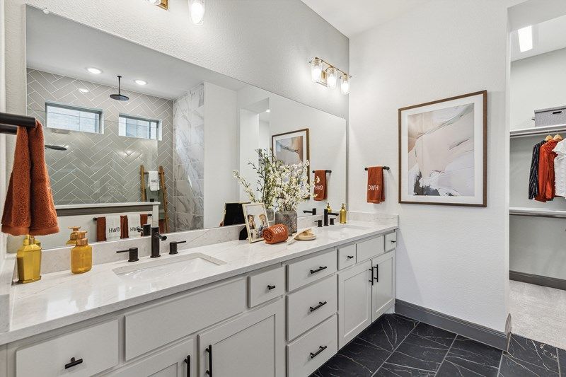 Owner's Bath