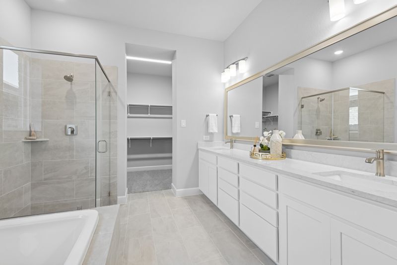 Owner's Bath
