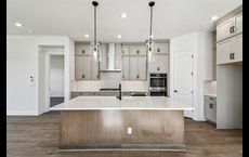 Seven Pines 50' Front Entry: Jacksonville, Florida - David Weekley Homes