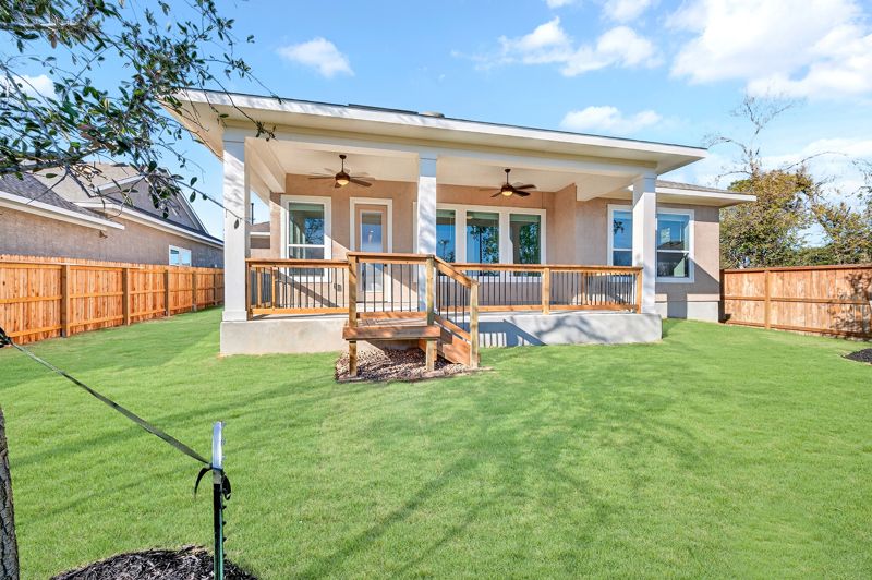 12206 Brucci (Meadow)