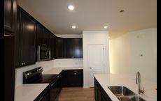 Amber Fields - Cottage Homes at Ashford: Rosemount, Minnesota - David Weekley Homes