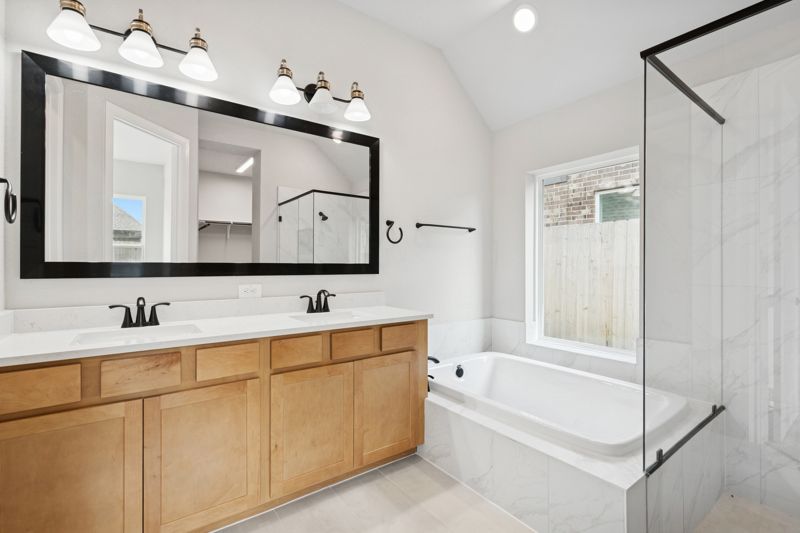 Owner's Bath