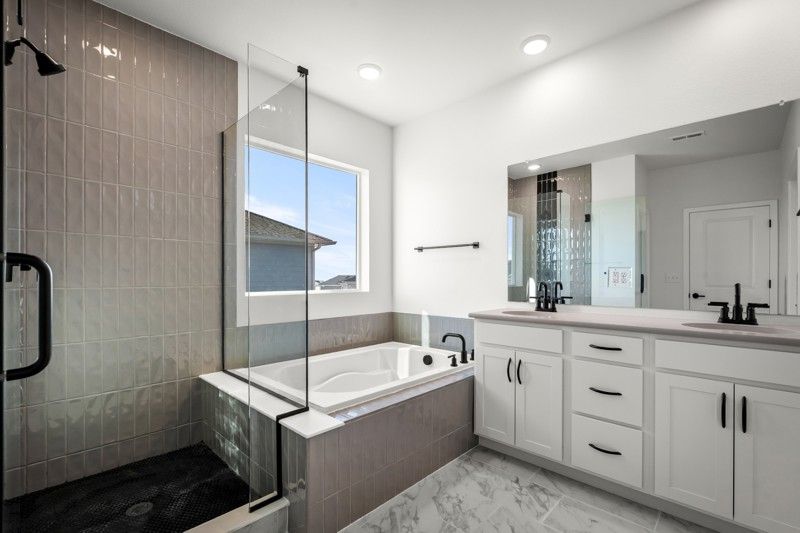 Owner's Bath