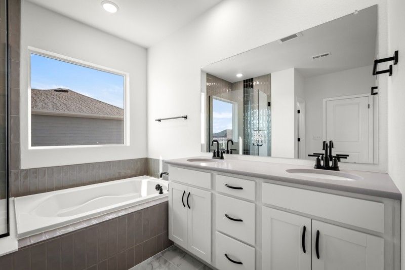 Owner's Bath