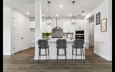 Waterset Tradition Series: Apollo Beach, Florida - David Weekley Homes