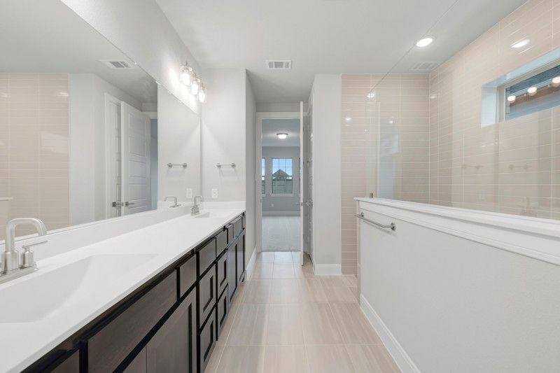 Owner's Bath