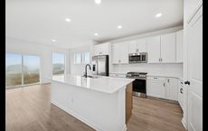 Summerland Place - The Tradition Collection: Shakopee, Minnesota - David Weekley Homes