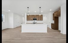 Amber Fields - Carriage Homes at Ashford: Rosemount, Minnesota - David Weekley Homes