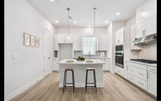 Apex at Seminole Heights: Tampa, Florida - David Weekley Homes