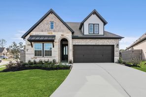 15910 Peachy Palm Court (Dunlap)