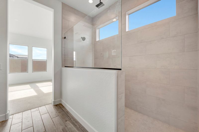 Owner's Bath