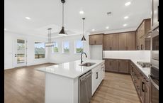 Crescent Pointe at Great Sky: Canton, Georgia - David Weekley Homes