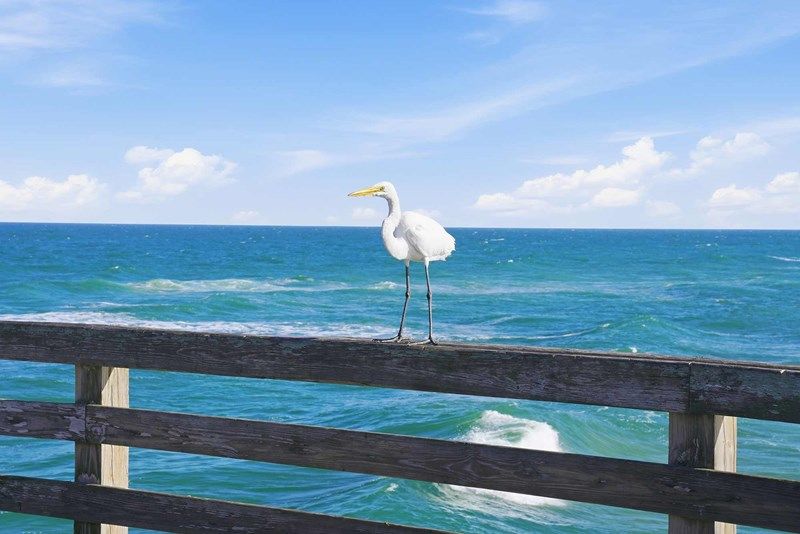 Daytona Beach